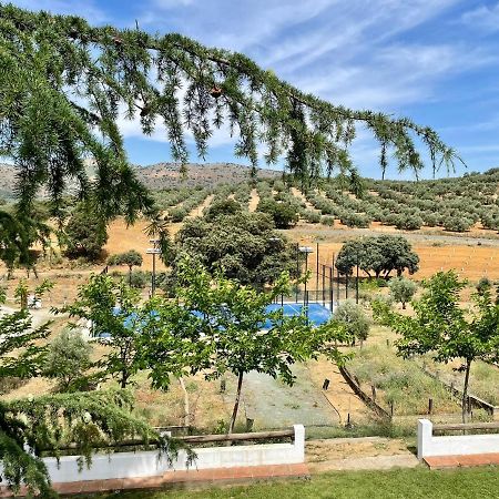 Santa Marta Complejo Rural Con Pista De Padel ξενώνας Archidona Εξωτερικό φωτογραφία